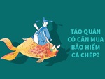 Táo Quân có cần mua bảo hiểm cá chép?