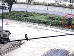 Chàng trai bị chó hù ngã vào bụi cây