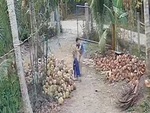Màn hóa trang tẩu thoát siêu đẳng của thanh niên đá gà khi bị truy bắt