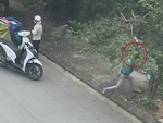 Chàng shipper trút giận lên cây trứng cá khi cãi nhau với bạn gái