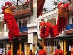 Màn múa lân 've sầu thoát xác' phiên bản lỗi