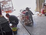 Bé trai mở cửa lồng 'phóng sinh' chim của bố