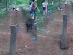 Bé trai đạp ngã đối thủ để chạy về đích trước