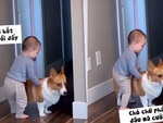 Chú chó ấm ức cam chịu khi cậu chủ ngồi lên lưng