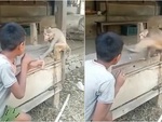 Bé trai ra oai múa võ bị 'Tôn Ngộ Không' đạp không trượt phát nào
