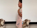 Cô chủ bực bội khi chó cưng bắt chước khóc theo mình
