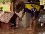 Chú chó bực bội khi bị chàng trai làm phiền