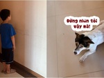 Chú chó run bần bật khi thấy hai đứa trẻ bị mẹ trách phạt
