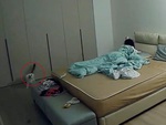 Cô chủ nổi quạu vì đang ngủ bị mèo làm tỉnh giấc