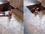Chàng trai ngã 'dập mông' xuống hố ga