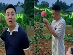 Chàng trai 'gắp lửa bỏ tay người' khi làm gãy bông