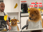 Cười sảng với thái độ của chú chó khi chủ làm rơi thức ăn