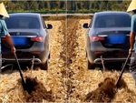 Người đàn ông Trung Quốc dùng Mercedes thay trâu cày ruộng