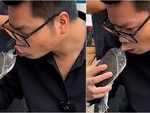 Chàng trai nghịch dại bị ba ba cắn môi
