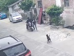 3 cô gái chạy trối chết khi bị chó rượt