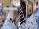 Cậu chủ nổi đóa vì chó cưng đạp đổ mô hình Kim Tự Tháp