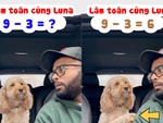 Chú chó biết làm toán siêu đỉnh