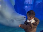 Cá heo 'quê một cục' vì không hù dọa được bé trai
