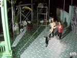 Cả nhà vui sướng khi chú chó đi lạc 4 ngày tìm về nhà