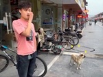 Chàng trai giả tiếng chó sủa troll chú cún