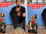 Chú chó hát song ca cùng ông chủ