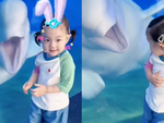 Chú cá heo lém lỉnh thích hù dọa trẻ con