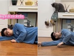 Chàng trai hú hồn khi giả vờ ngất xỉu thử lòng mèo cưng