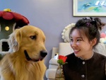Chú chó cười nhạt trước màn ảo thuật vụng về của sen