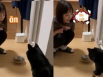 Cô chủ xuống giọng nhẹ nhàng mời cơm chú chó mới chịu ăn