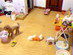 Hai chú chó thông minh biết dọn dẹp việc nhà giúp chủ