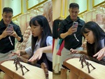 Bố đứng hình với màn trổ tài đánh đàn tranh của con gái