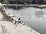 Chú chó câu cá siêu đỉnh
