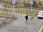 Thầy giáo nổi quạu vì học viên lái ô tô phóng vun vút