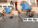 Husky lấy vòi nước dập ngọn lửa đang cháy lan vào đống rơm