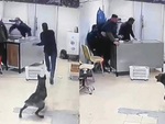 Đám đông bị chú chó hù sợ khiếp vía