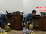Cậu bé bất lực với chú mèo bướng bỉnh không nghe lời