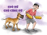 Chó dữ rọ mõm, chủ dữ... rọ tay