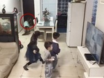 Chú chó ra hiệu lũ trẻ ngừng chơi game khi thấy ông chủ về