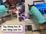 Chú chó trách phạt cô chủ vì học hành lơ đãng
