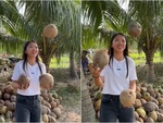 Huỳnh Như trổ tài tung hứng dừa