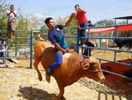 Chàng trai u đầu khi chơi trò cưỡi bò