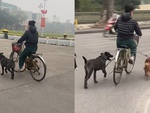 Người phụ nữ chạy xe đạp '8 cẳng 2 bánh', động cơ bằng cơm