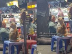 Chú chó nhún nhảy theo nhạc siêu dễ thương