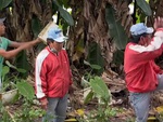 Người đàn ông giật mình múa võ khi bị hù