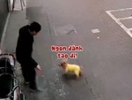 Cún con tè bậy còn hổ báo bị chú mèo dạy cho một bài học