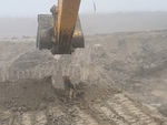 Chú chó 'thị sát công trình' bị tài xế máy xúc hù một phen hú hồn