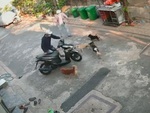 Hai thanh niên bị đàn chó rượt chạy trối chết