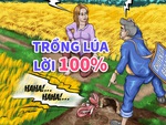 Báo cáo gây xôn xao dư luận: Nông dân trồng lúa lời 100%