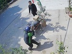Tên trộm cây kiểng chắp tay xin lỗi chủ nhà sau khi bị ăn tát