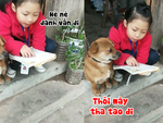 Cô chủ bắt chó cưng học đánh vần